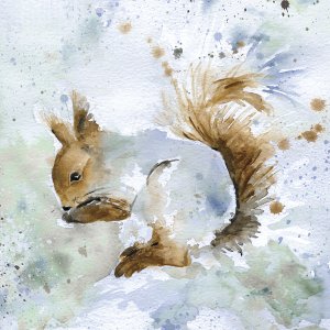 Squirrel by Carol Robinson Oil Painting