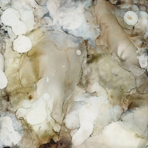 Stonewashed I Oil painting by Carol Robinson