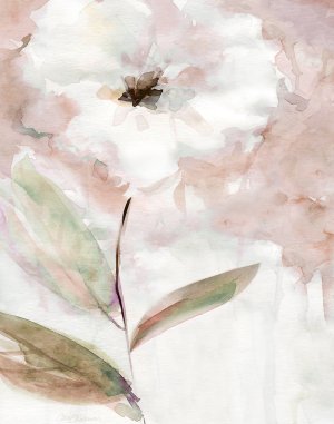 Summer Bloom I by Carol Robinson Oil Painting