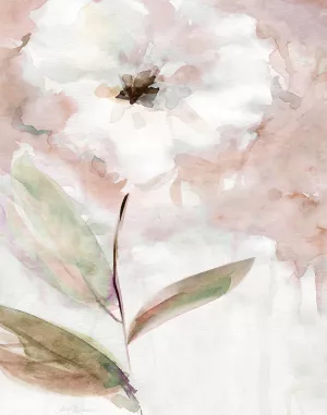 Summer Bloom I by Carol Robinson Oil Painting