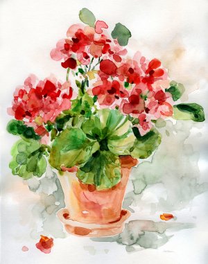 Summer Geranium I Oil painting by Carol Robinson