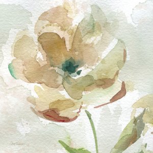 No Frame Rolled Canvas