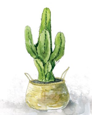 Tall Cactus Oil painting by Carol Robinson