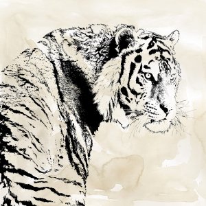 Tiger Stripes I by Carol Robinson Oil Painting