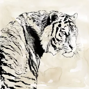 Tiger Stripes I Oil Painting by Carol Robinson - Bestsellers