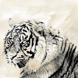 Tiger Stripes II by Carol Robinson Oil Painting
