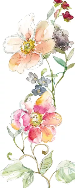Trailing Blooms II by Carol Robinson Oil Painting