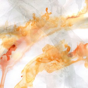 Transparent Opposites I by Carol Robinson Oil Painting
