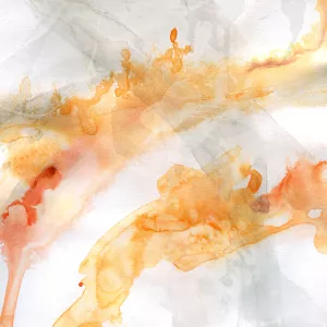 Transparent Opposites I by Carol Robinson Oil Painting