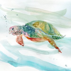 Turtle Tropics II by Carol Robinson Oil Painting