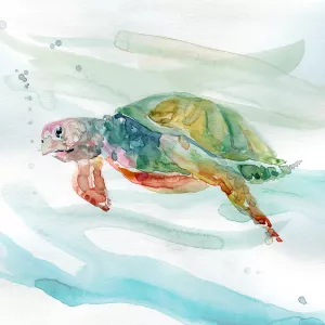 Turtle Tropics II Oil Painting by Carol Robinson - Bestsellers