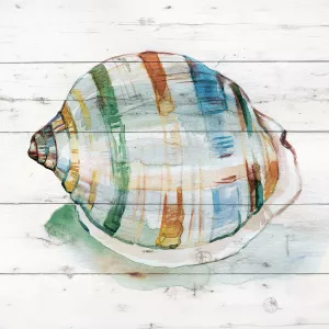 Tye Dyed Shell I by Carol Robinson Oil Painting