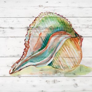 Tye Dyed Shell II by Carol Robinson Oil Painting