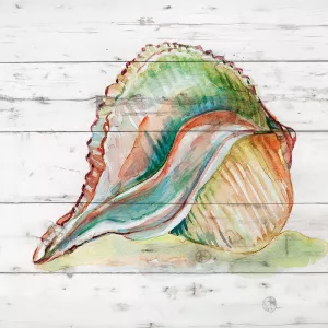 Tye Dyed Shell II by Carol Robinson Oil Painting