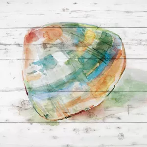 Tye Dyed Shell III by Carol Robinson Oil Painting