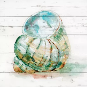 Tye Dyed Shell IV by Carol Robinson Oil Painting