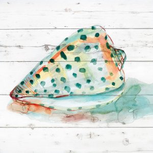 Tye Dyed Shell V Oil painting by Carol Robinson