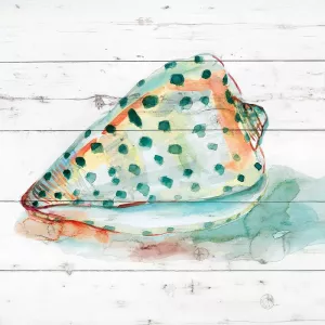 Tye Dyed Shell V by Carol Robinson Oil Painting