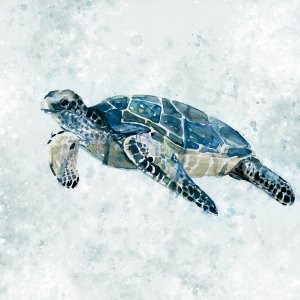 Under The Sea Turtle II by Carol Robinson Oil Painting