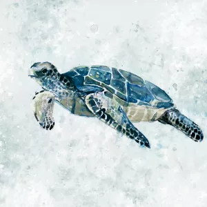 Under The Sea Turtle II by Carol Robinson Oil Painting