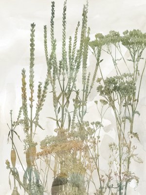 Untamed Garden II by Carol Robinson Oil Painting