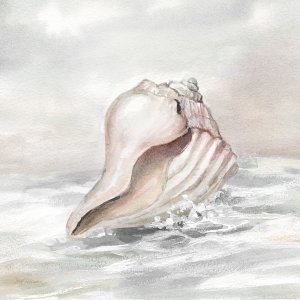 Washed Ashore II by Carol Robinson Oil Painting