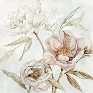 Washed Botanical I by Carol Robinson Oil Painting