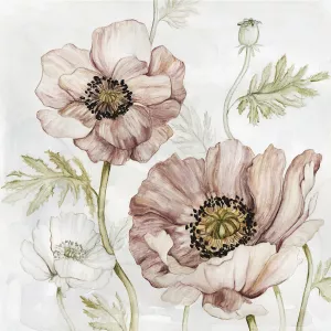 Washed Botanical IV by Carol Robinson Oil Painting