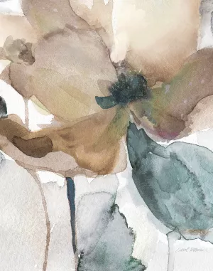 Watercolor Poppy I by Carol Robinson Oil Painting