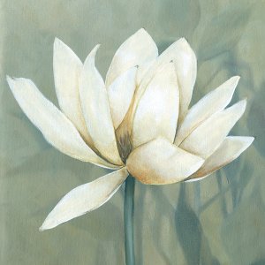 Waterlily I by Carol Robinson Oil Painting
