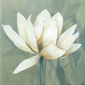 Waterlily I by Carol Robinson Oil Painting
