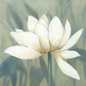 Waterlily II by Carol Robinson Oil Painting