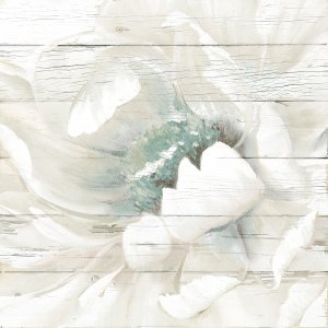Weathered White II by Carol Robinson Oil Painting