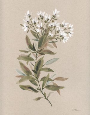 White Floral Stem I by Carol Robinson Oil Painting
