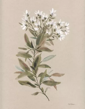 White Floral Stem I by Carol Robinson Oil Painting