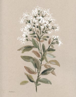 White Floral Stem II by Carol Robinson Oil Painting