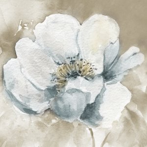 No Frame Rolled Canvas