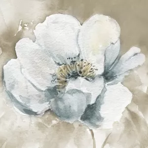 White Washed Beauty I by Carol Robinson Oil Painting