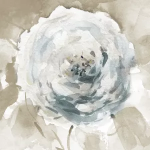 White Washed Beauty II by Carol Robinson Oil Painting