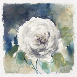 White Washed Rose by Carol Robinson Oil Painting