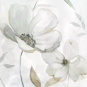 White Whispers I by Carol Robinson Oil Painting