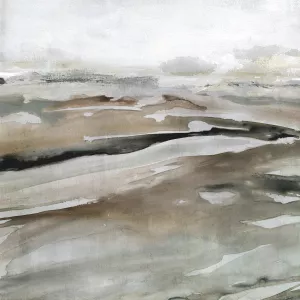 Windblown Sands II Oil Painting by Carol Robinson - Bestsellers