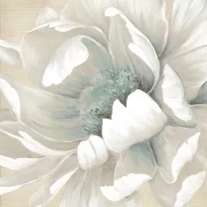 Winter Blooms II by Carol Robinson Oil Painting