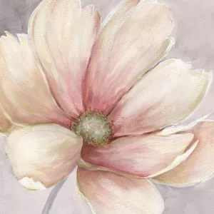 Winter Blush Revisited I by Carol Robinson Oil Painting