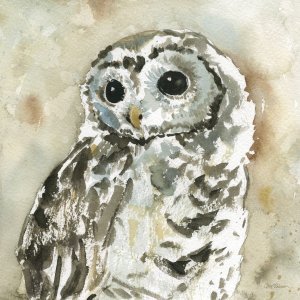 Woodland Owl by Carol Robinson Oil Painting