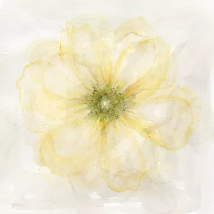 Yellow Posy I by Carol Robinson Oil Painting