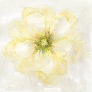 Yellow Posy II by Carol Robinson Oil Painting