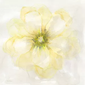 Yellow Posy II by Carol Robinson Oil Painting