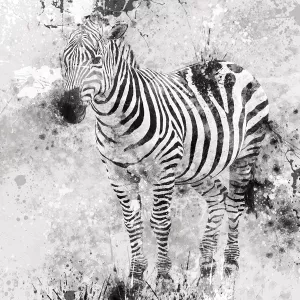 Zebra I Oil Painting by Carol Robinson - Contemporary