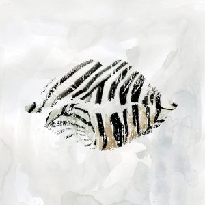 Zebra Kisses I Oil painting by Carol Robinson